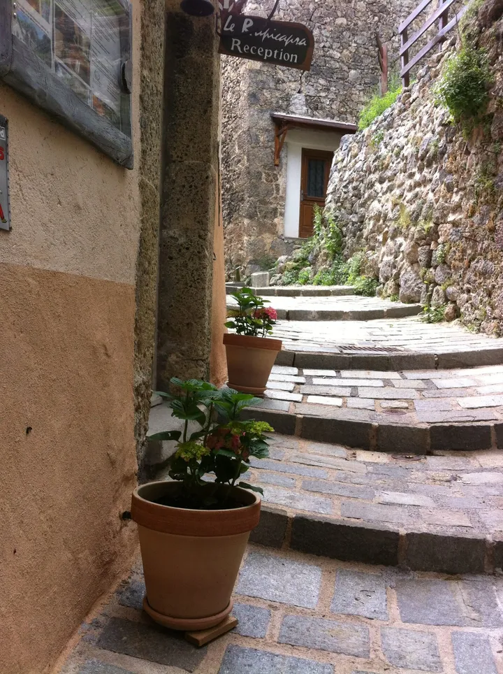 Chambre Carline — photo 4